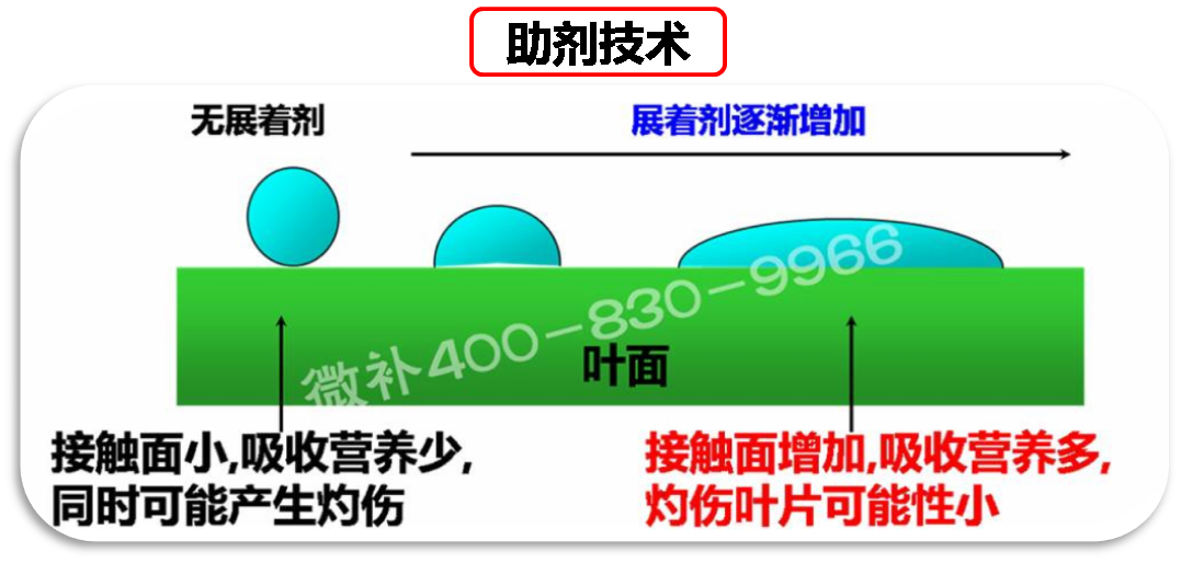 余教授德國鄉(xiāng)村行：我在德國為什么不會(huì)點(diǎn)啤酒了？