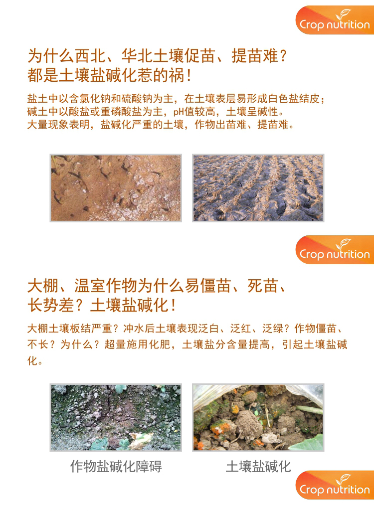 因迪樂有機鹽堿土調(diào)理水溶肥1_02.jpg