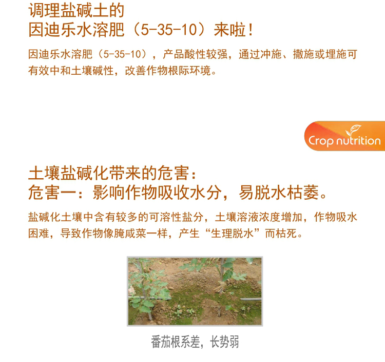 因迪樂有機鹽堿土調(diào)理水溶肥1_03.jpg