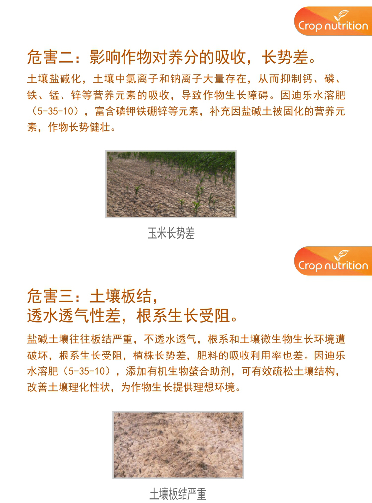 因迪樂有機鹽堿土調(diào)理水溶肥1_04.jpg