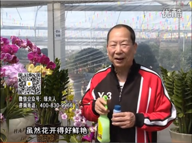 20160314珠江臺(tái)搖錢樹：家種鮮花、鮮切花，用綠夫人600度鮮花液?；ㄆG、花期長